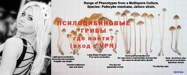 герыч Белокуриха